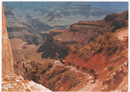 Postcard Bright Angel Trail Grand Canyon National Park Arizona My Ref B26224 - Grand Canyon