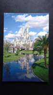 USA - Florida - Walt Disney World - Fairy-Tale Castle - Look Scan - Orlando