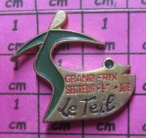 818A Pin's Pins / Beau Et Rare / SPORTS / PETANQUE GRAND PRIX SECTEUR PETANQUE LE TEIL - Petanca