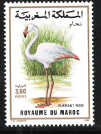 1988 - Morocco - Maroc- Bird Of Morocco- Oiseau Du Maroc - Greater Flamingo - Flamant Rose- MNH** - Flamingo's