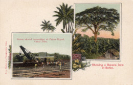 Panama-Banana Farm At Boho & Steam Shovel At Pedro Miguel 1908 - Antique Postcard - Panama