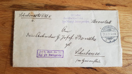 Amtsgericht Herrnstadt 1901 Nach Schubersee, Mit Inhalt - Enveloppes