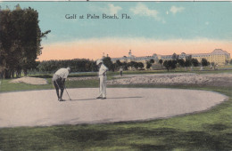 GOLF : PALM - BEACH - Une Partie De Golf - Vers 1910 - Golf