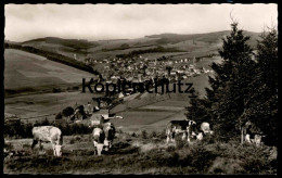 ÄLTERE POSTKARTE FURTWANGEN SCHWARWALD PANORAMA KÜHE Cows Vaches Ansichtskarte AK Cpa Postcard - Furtwangen