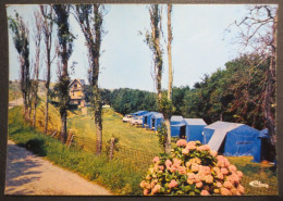 76 - Yport - CPM - La Maison Du Rivage - Son Camping -  2CV Et 404 Break - Combier N° E 76754 000.0024 - B.E - - Yport