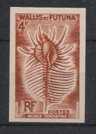 WALLIS ET FUTUNA - 1962-63 - N°Yv. 165 - Coquillage - Essai Non Dentelé / Imperf. Essay - Neuf Luxe ** / MNH - Unused Stamps