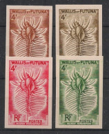 WALLIS ET FUTUNA - 1962-63 - N°Yv. 165 - Coquillage - 4 Essais Non Dentelé / Imperf. Essays - Neuf Luxe ** / MNH - Ungebraucht