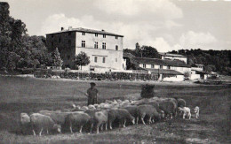 83 VIDAUBAN VIEUX CHÂTEAU D'ATROS - Vidauban