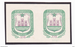 Vignettes Esperanto - Kongreso Jugoslavia - Novisad - 1958 - Esperanto