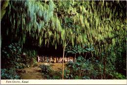 Hawaii Kauai Fern Grotto - Kauai