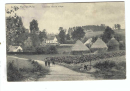 Hamme-Mille     Descente Vers Le Village 1907 - Bevekom