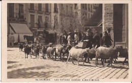 Espagne - Granada - Grenade - Las Tipicas Cabras Albaicineras Cabra Goat - Granada