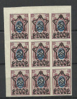 RUSSIA Russland 1923 Michel 207 B As 9-block MNH - Unused Stamps