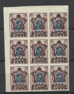 RUSSIA Russland 1923 Michel 207 B As 9-block MNH - Nuovi