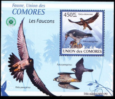 Duck Hawk, Birds Of Prey, Raptors, Comoros 2009 MNH Sheet - Canards