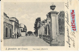 Marche-ascoli Piceno-s.benedetto Del Tronto Viale Regina Margherita Animata Veduta Del 1904 (f.piccolo/v.retro) - Autres & Non Classés