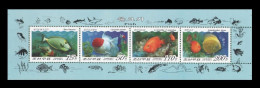 North Korea 2007 Mih. 5227/30 Fauna. Fishes (booklet Sheet) MNH ** - Corée Du Nord