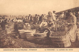 CPA 51 EPERNAY / CHAMPAGNE DE CASTELNAU / LA VENDANGE / LA CUEILLETTE DES RAISINS - Epernay