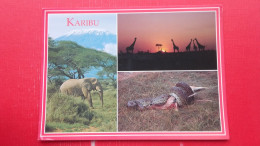 Karibu.Elephant Under Mont Kilimanjaro;Giraffe At Sundown;Python And Prey - Kenya