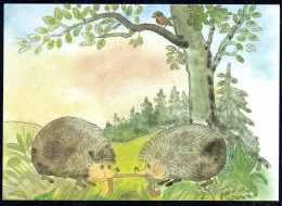 G4579 - TOP Wongel Glückwunschkarte Mecki - Igel Hérisson Hedgehog - Planet Verlag DDR Grafik - Mecki