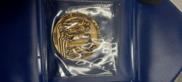 Medaglia Commemorativa Olimpiadi Di Anversa - Other & Unclassified