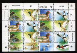 Israel 1989 Ducks In Holy Land Mini Sheet Mi:IL 1131-1134KB Yt:IL 1074-1077  Sg:IL 1076a, Isr:IL 1140a - Canards