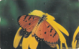 TAIWAN(chip) - Butterfly, Chunghwa Telecard(IC03037), Exp.date 31/12/06, Used - Farfalle
