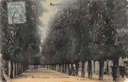 CPA 51 AY / LES PROMENADES - Ay En Champagne