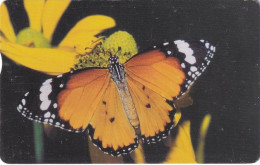 TAIWAN(chip) - Butterfly, Chunghwa Telecard(IC03009), Exp.date 31/12/06, Used - Butterflies