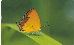 TAIWAN(chip) - Butterfly, Chunghwa Telecard(IC03008), Exp.date 31/12/06, Used - Butterflies