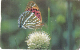 TAIWAN(chip) - Butterfly, Chunghwa Telecard(IC02004), Exp.date 31/12/05, Used - Butterflies