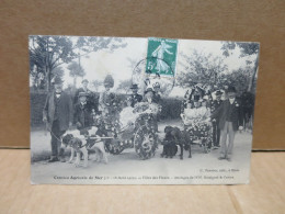 MER (41) Comice Agricole Fete Des Fleurs Attelages Voitures à Chiens Gros Plan - Mer