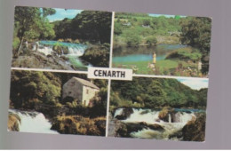 Cenarth Falls, Wales, UK  - Multiview -   Unused Postcard   - UK13 - Other & Unclassified