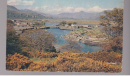 Portmadoc Harbour, Wales, UK   -   Unused Postcard   - UK14 - Arthur Dixon - Caernarvonshire