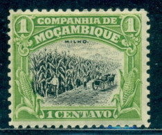 1918 Corn Culture,Mais,Zea Mays,Mozambique Company,116/1C,MLH - Légumes