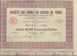 MINES DE CUIVRE DE TENES - ALGERIE  - ACTION DE 100 FRS  CATEGORIE B -  ANNEE 1930 - Mines