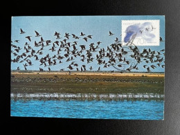 NETHERLANDS 1982 GEESE CIRCULATED MAXIMUM CARD NEDERLAND BIRDS VOGELS - Cartes-Maximum (CM)