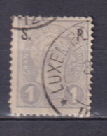 1895 LUXEMBOURG-LUSSEMBURGO - OFFICIEL - MICHEL 57 - USED - Service