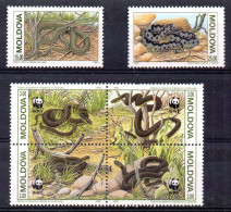 Moldavia Serie Nº Yvert 44/49 ** REPTILES (REPTILE) - Serpents