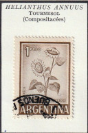 ARGENTINE - Fleur, Flower, Tournesol - 1962 - Oblitéré - Usati
