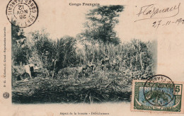 Congo Français - Un Aspect De La Brousse, Défrichement - Collection G. Giraud - Carte N° 25 Non écrite - Congo Francés