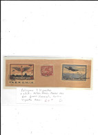 POLOGNE 2 VIGNETTES + 1 POSTE AERO TARG POZNAN 1921 SUR GRAND FORMAT - Flugzeuge