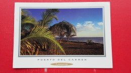 Puerto Del Carmen.P.P.Basel Label? - Lanzarote