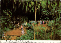 Hawaii Kauai Beautiful Fern Grotto - Kauai