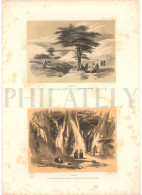1837, LABORDE: "VOYAGE DE LA SYRIE" LITOGRAPH PLATE #21. ARCHAEOLOGY / MIDDLE EAST / SYRIA / LEBANON / CEDARS Of SOLOMON - Archéologie