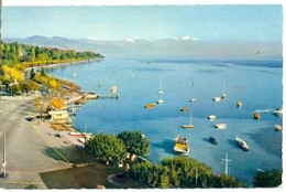 Postal Suiza. Ouchy Lausanne. Le Port Et Les Alpes. 7-sui108 - Port