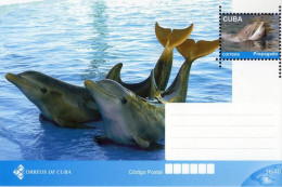 Lote TP32-1, Cuba, 2011, Entero Postal, Postal Stationery, Delfin, Dolphin - Maximumkaarten