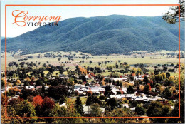 5-9-2023 (4 T 16) Australia - VIC - Corryong - Other & Unclassified