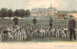 FRANCE - 60 - Chantilly - Promenade De La Meute - Carte Postale Ancienne - Chantilly