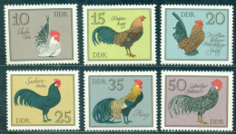 1979 Poultry Breeds,Chicken,rooster,Chabo Siro,Phoenix,Hühnerrassen,DDR,2394,MNH - Ferme